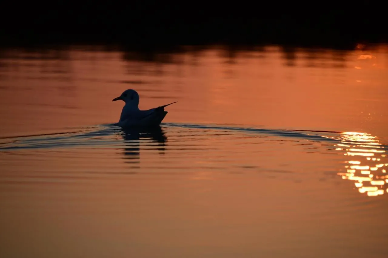 Agriturismo Venice Photobirding Tessera Italy